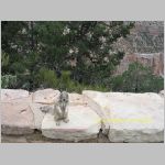 20060813_GrandCanyon_038 copia.jpg